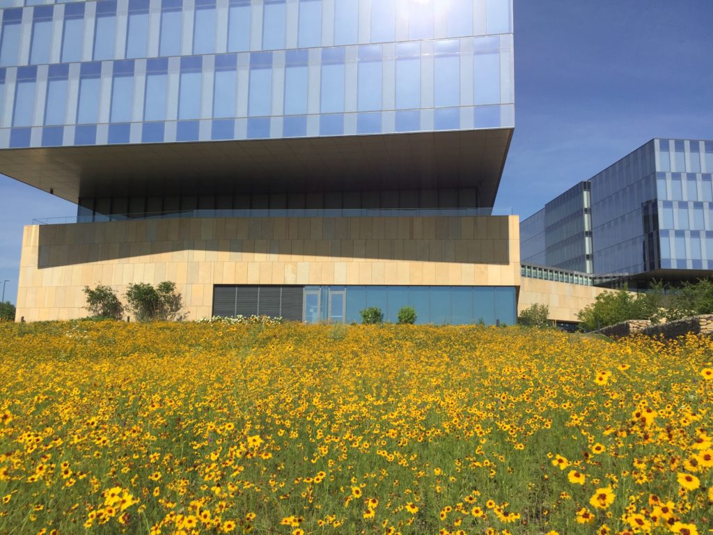 RGA Headquarters Chesterfield - ST LOUIS STYLE