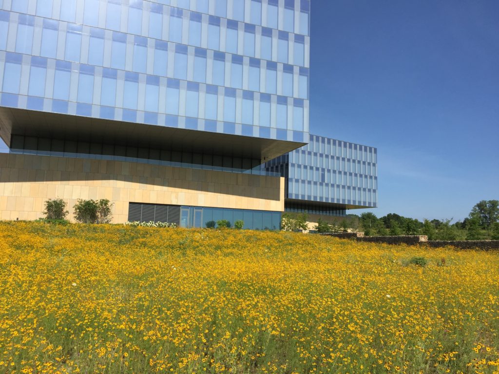 RGA Headquarters Chesterfield - ST LOUIS STYLE